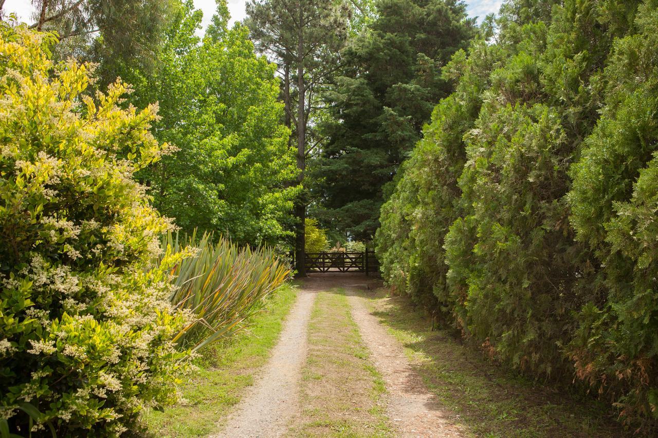 La Chacra - Hotel De Campo & Spa San Pedro  Eksteriør billede